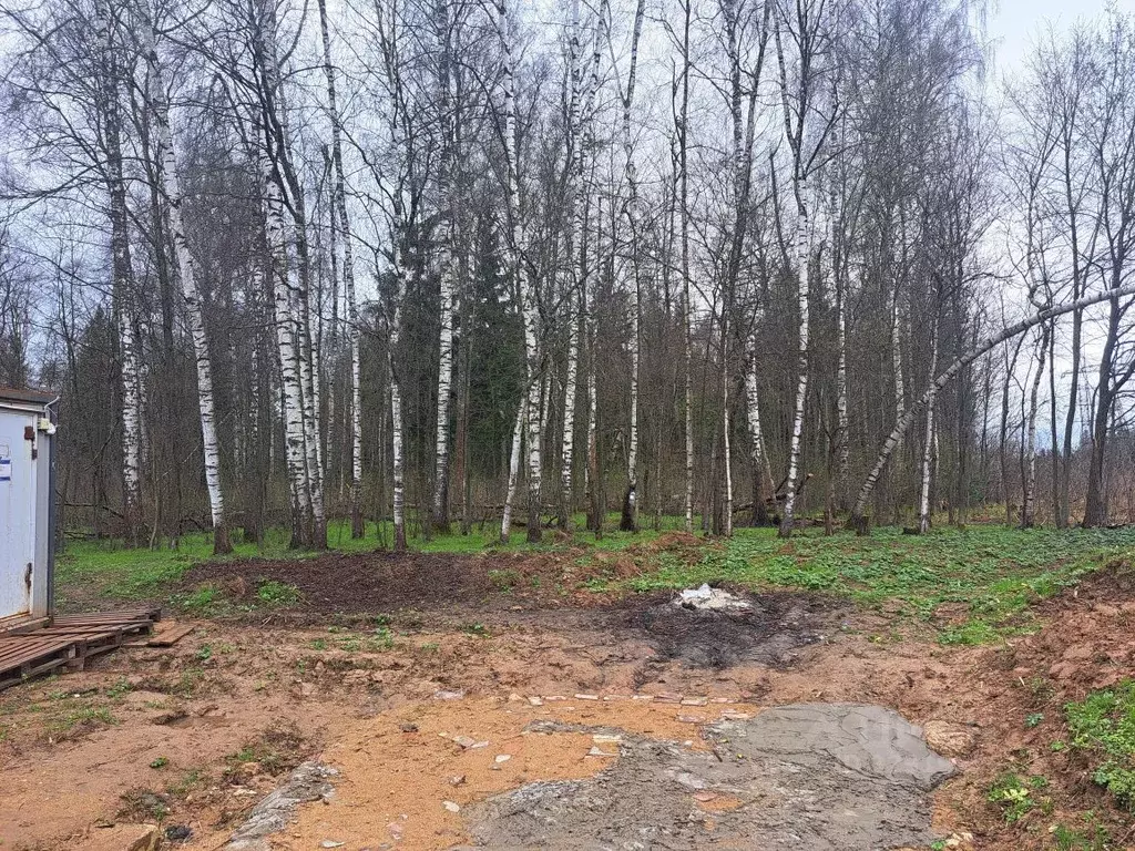 Дом в Московская область, Истра муниципальный округ, д. Еремеево 321 ... - Фото 2