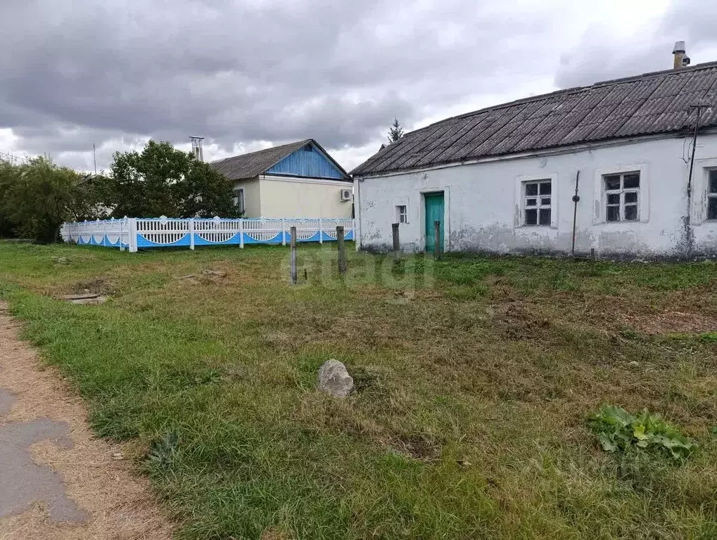 Дом в Воронежская область, Рамонский район, Горожанское с/пос, д. ... - Фото 1