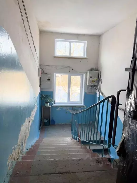 3-к кв. Орловская область, Орел ул. Игнатова, 21 (57.9 м) - Фото 2