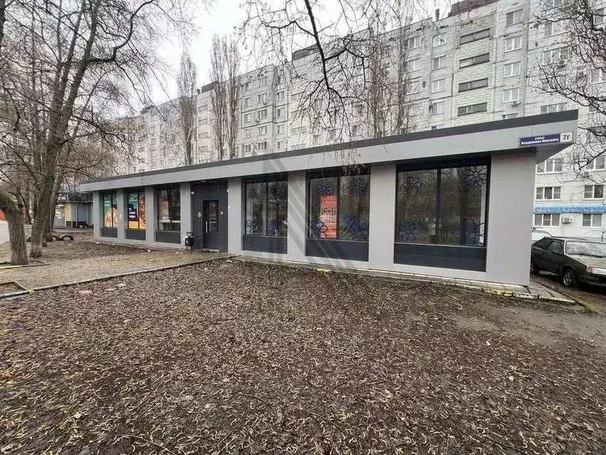 Торговая площадь в Воронежская область, Воронеж ул. Владимира ... - Фото 1