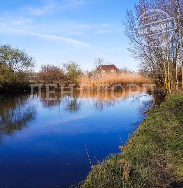 Участок в Ростовская область, Азовский район, Елизаветинское с/пос, ... - Фото 1