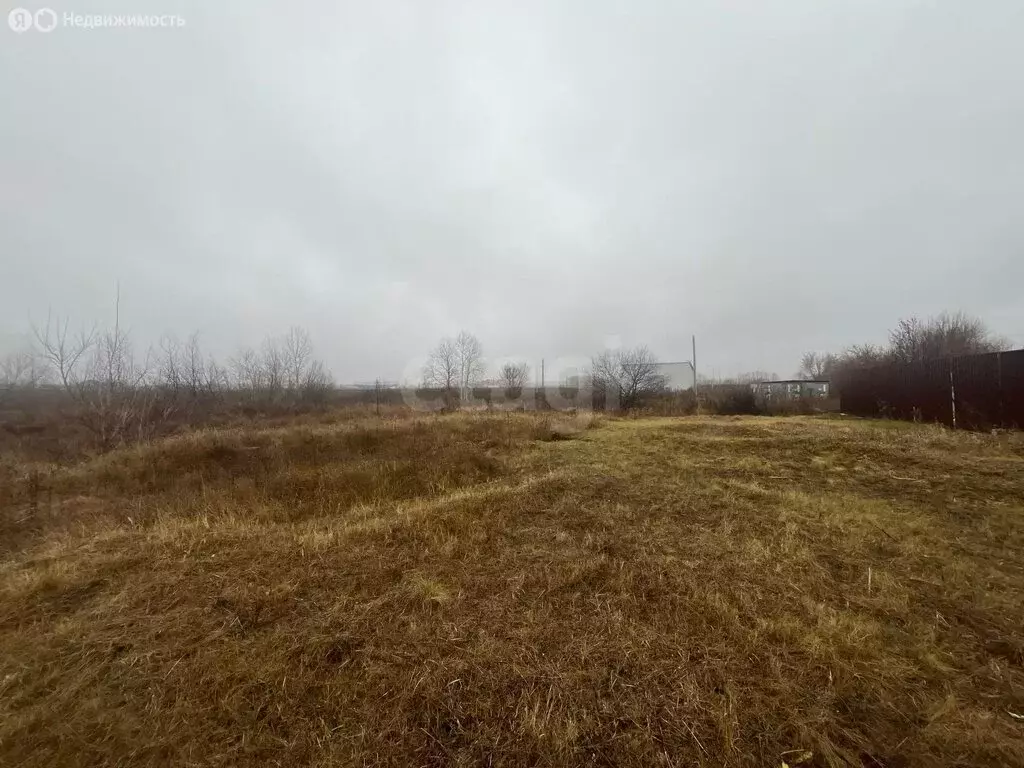 Участок в Борисоглебск, Лазоревая улица (9 м) - Фото 2