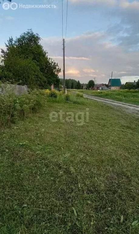 Участок в Черепановский район, село Карагужево (6.3 м) - Фото 0