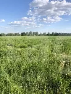 Участок в Брянская область, Брянский район, Глинищевское с/пос, с. ... - Фото 1