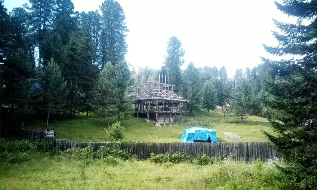 Участок в Алтай, Турочакский район, с. Артыбаш Родниковая ул. (26.0 ... - Фото 1