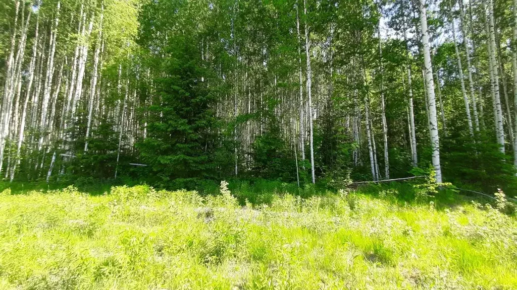 Участок в Удмуртия, Завьяловский район, д. Крестовоздвиженское  (8.0 ... - Фото 0