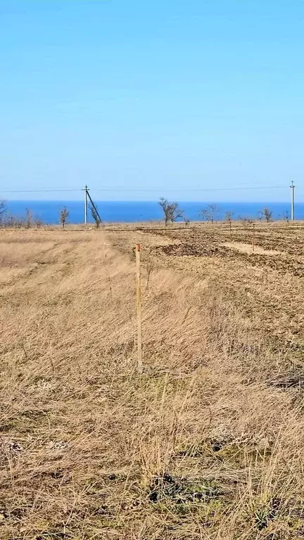 Участок в Крым, Ленинский район, Семисотское с/пос  (6.0 сот.) - Фото 2