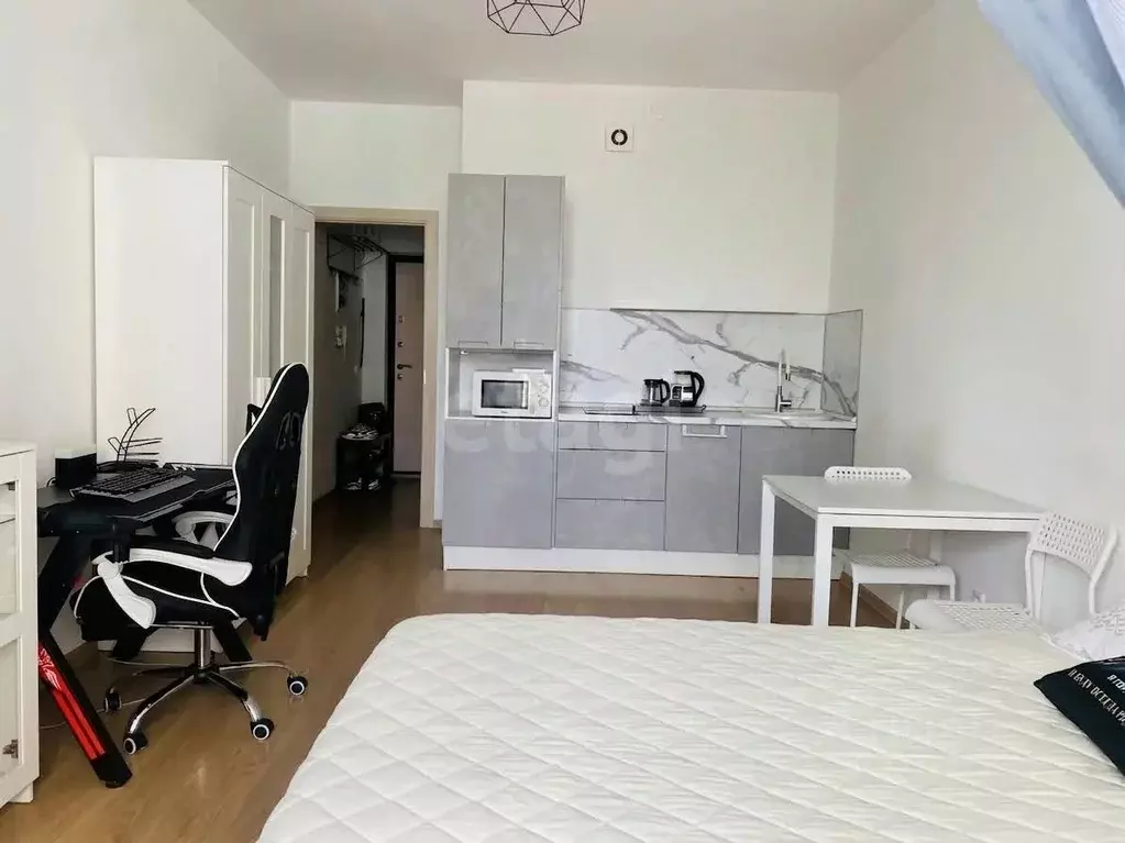 Студия Санкт-Петербург аллея Арцеуловская, 23к1 (28.5 м) - Фото 2