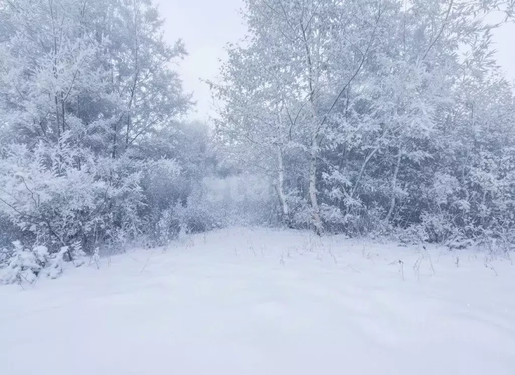 Участок в Камчатский край, Елизовский муниципальный округ, Звездочка ... - Фото 1