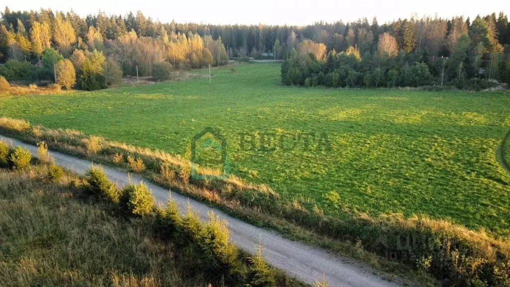 Участок в Ленинградская область, Выборгский район, Полянское с/пос, ... - Фото 2