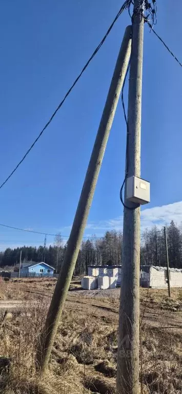 Участок в Ленинградская область, Выборгский район, пос. Первомайское ... - Фото 2