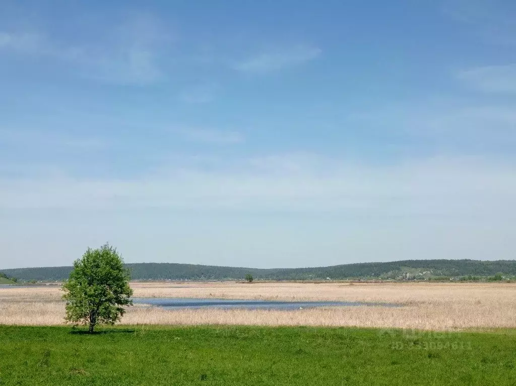Участок в Пермский край, Кунгурский муниципальный округ, д. Щелканы  ... - Фото 2