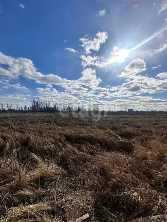 Участок в Амурская область, Благовещенск 5-я Стройка мкр, ул. ... - Фото 0
