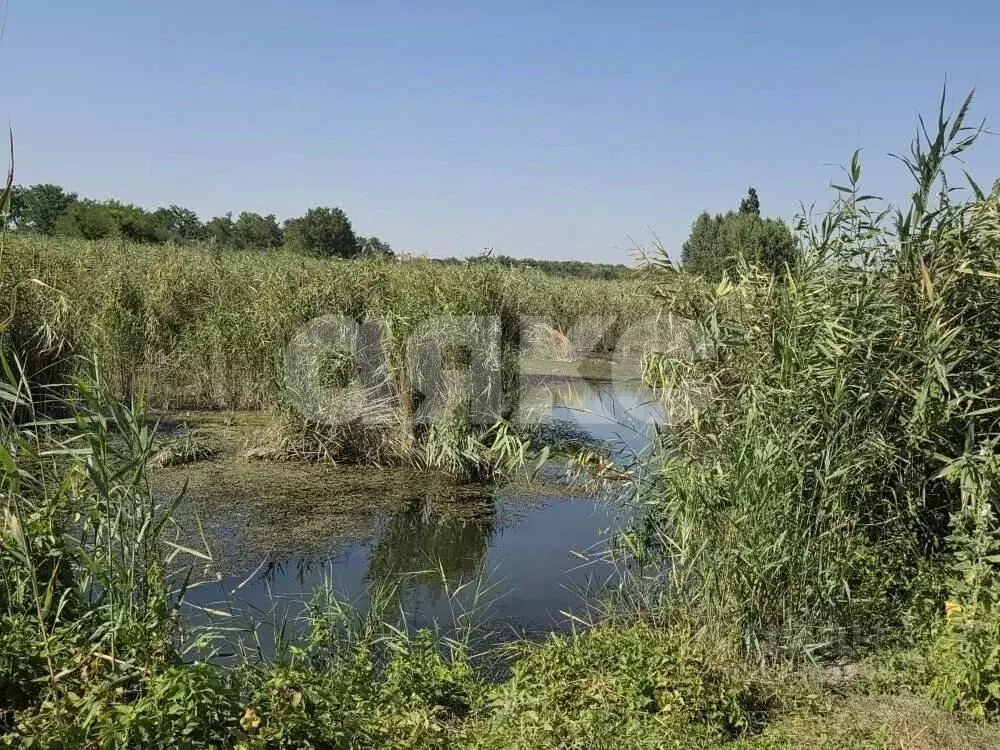 Участок в Краснодарский край, Кореновский район, Бураковский хут.  ... - Фото 1