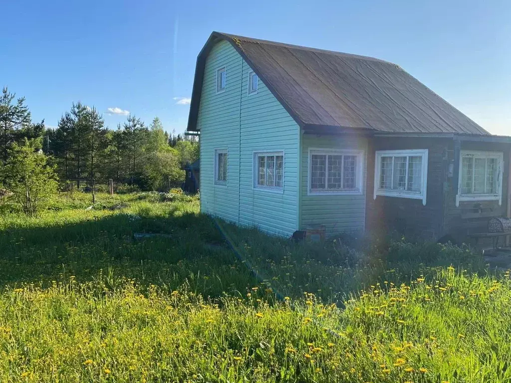 Дом в Ленинградская область, Выборгский район, пос. Селезнево  (59 м) - Фото 1