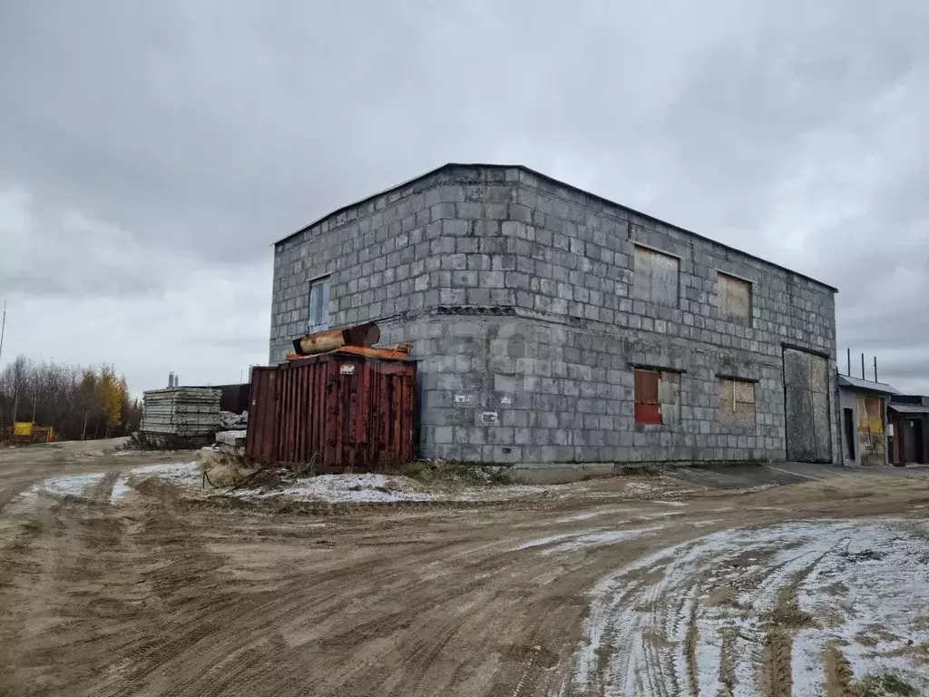 Помещение свободного назначения в Ямало-Ненецкий АО, Новый Уренгой ... - Фото 2