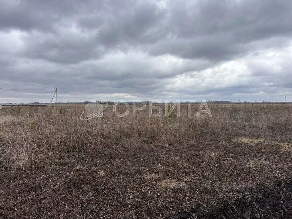 Участок в Тюменская область, Тюменский муниципальный округ, с. Чикча  ... - Фото 2