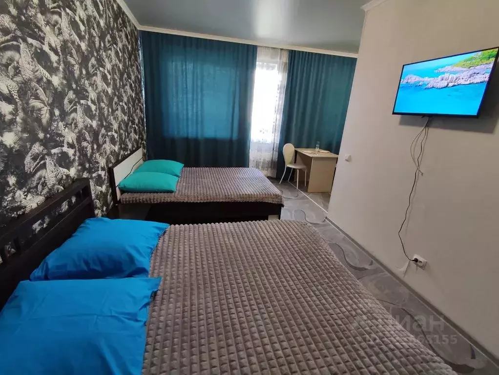 Студия Алтайский край, Бийск ул. Михаила Ломоносова, 32 (30.0 м) - Фото 2