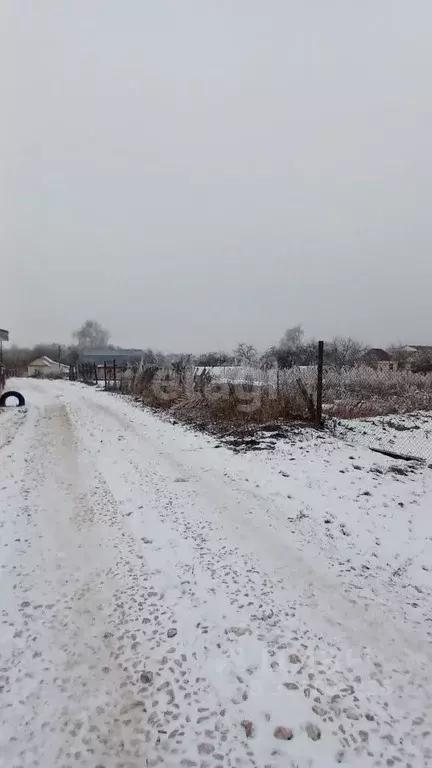 Участок в Владимирская область, Муром с. Борисово, ул. Октябрьская, 28 ... - Фото 1