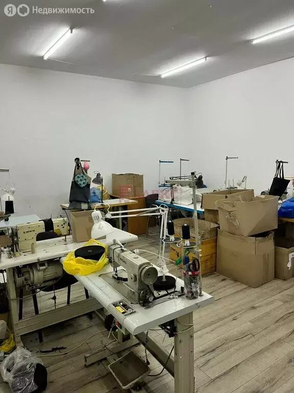 Помещение свободного назначения (650 м) - Фото 1