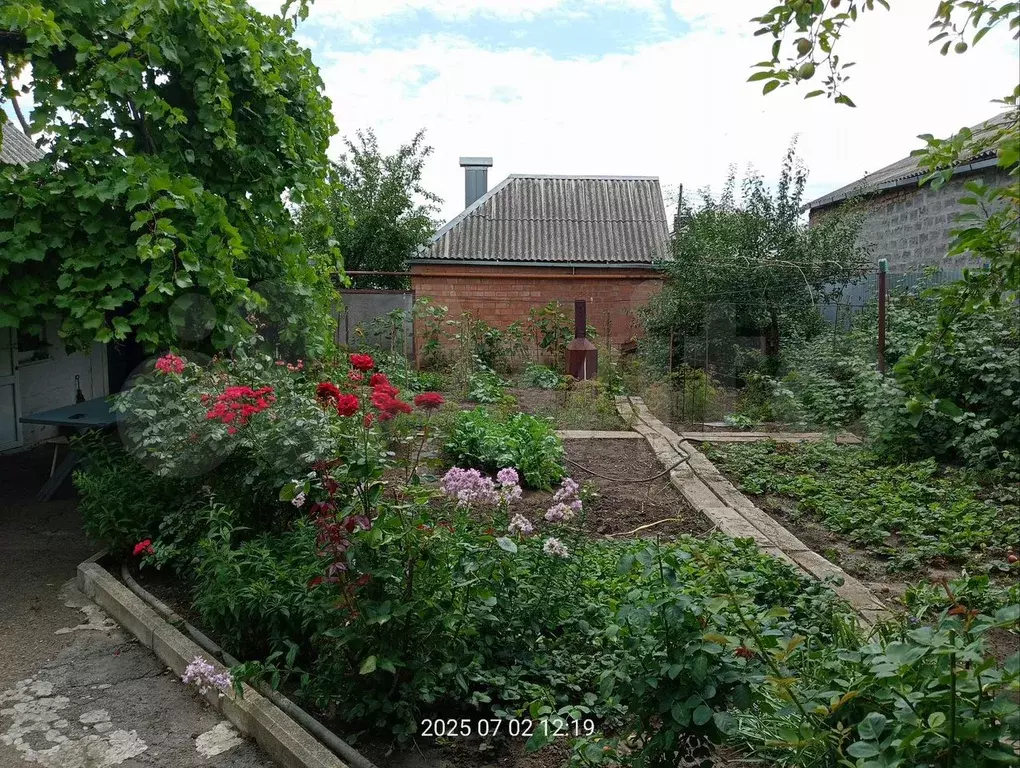 Дом 54 м на участке 4 сот. - Фото 1
