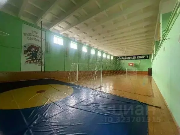 Помещение свободного назначения в Пензенская область, Бессоновский ... - Фото 2