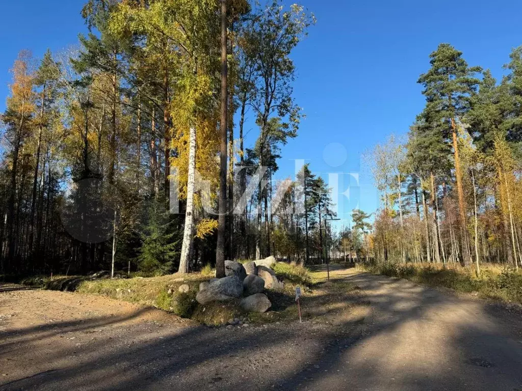 Участок 19 сот. (СНТ, ДНП) - Фото 0