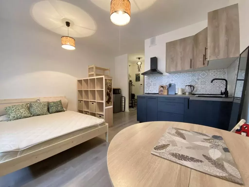 Студия Ленинградская область, Всеволожский район, пос. Бугры ул. ... - Фото 1