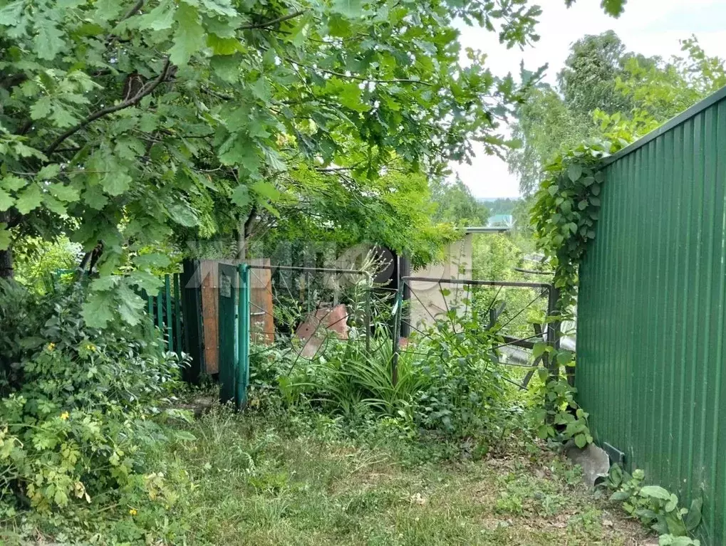 Дом в Новосибирская область, Искитим  (32 м) - Фото 2