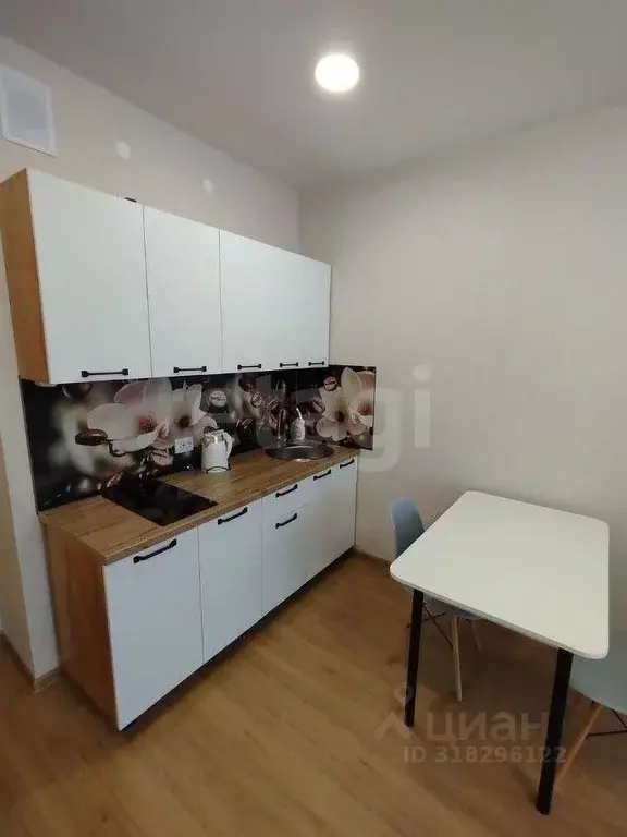 Студия Пермский край, д. Кондратово ул. Водопроводная, 1 (29.0 м) - Фото 1
