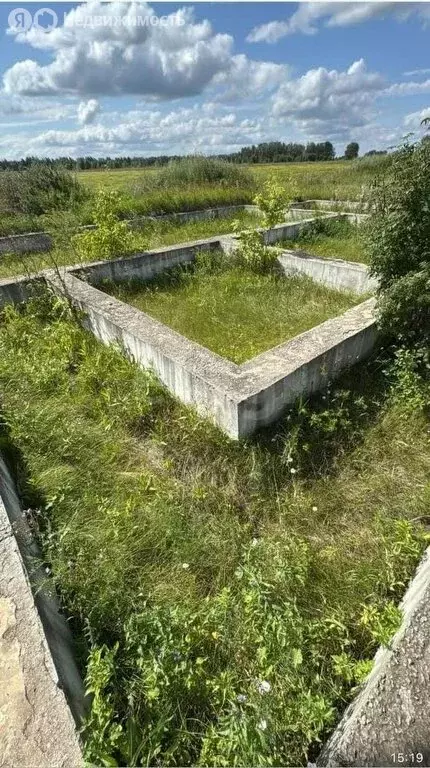 Участок в Омский район, село Дружино (20696 м) - Фото 0