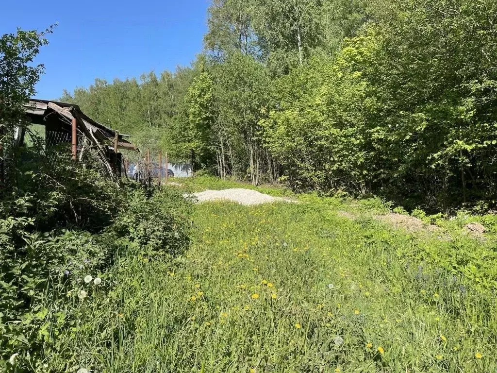 Участок в Владимирская область, Суздальский район, Новоалександровское ... - Фото 1