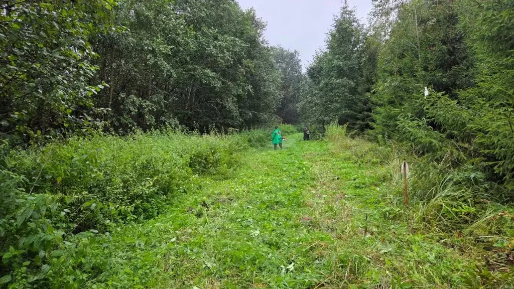 Участок в Московская область, Одинцовский городской округ, д. Фуньково ... - Фото 1