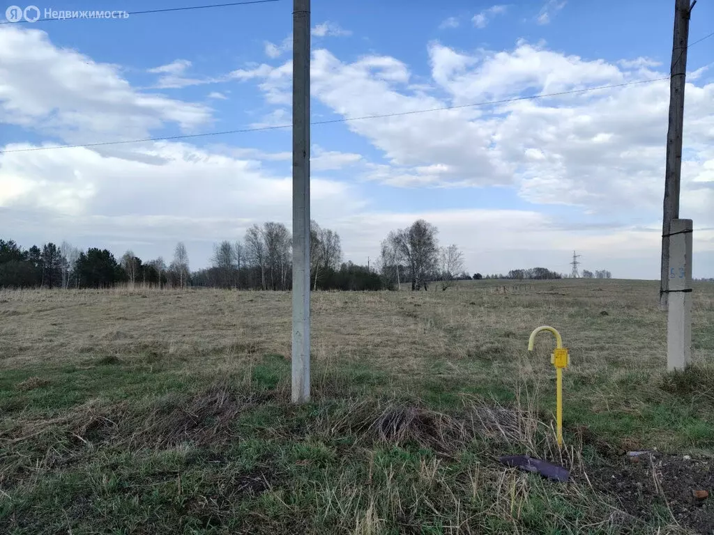 Участок в село Баюновские Ключи, Берёзовая улица, 16 (15.58 м) - Фото 1