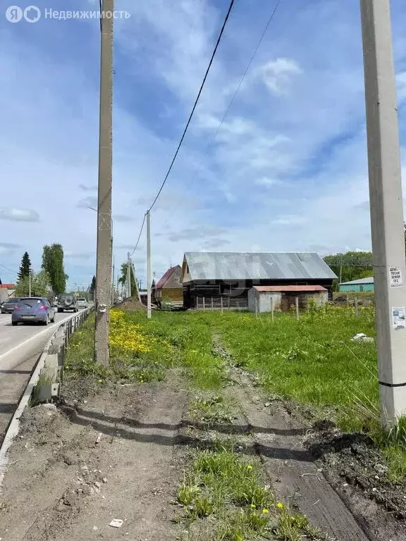 Участок в Новосибирский район, Станционный сельсовет, станция Мочище ... - Фото 1