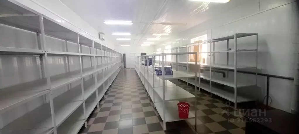 Помещение свободного назначения в Краснодарский край, Динской район, ... - Фото 1
