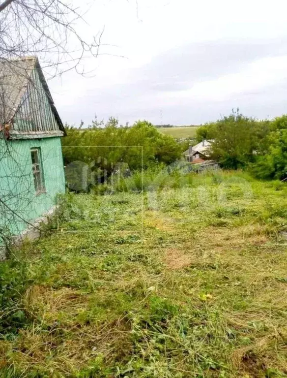 Дом в Воронежская область, с. Нижнедевицк ул. Азарова, 18 (40 м) - Фото 1