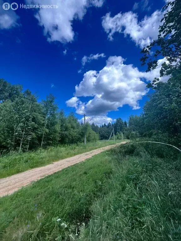 Участок в Сергиево-Посадский городской округ, деревня Шепелево (10 м) - Фото 1
