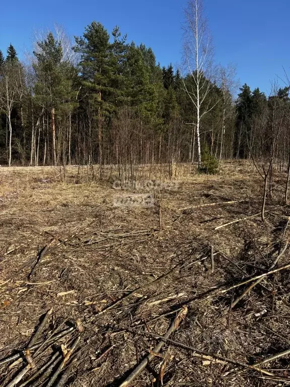 Участок в Ленинградская область, Тосно г. Тосненский район, Тосненское ... - Фото 2