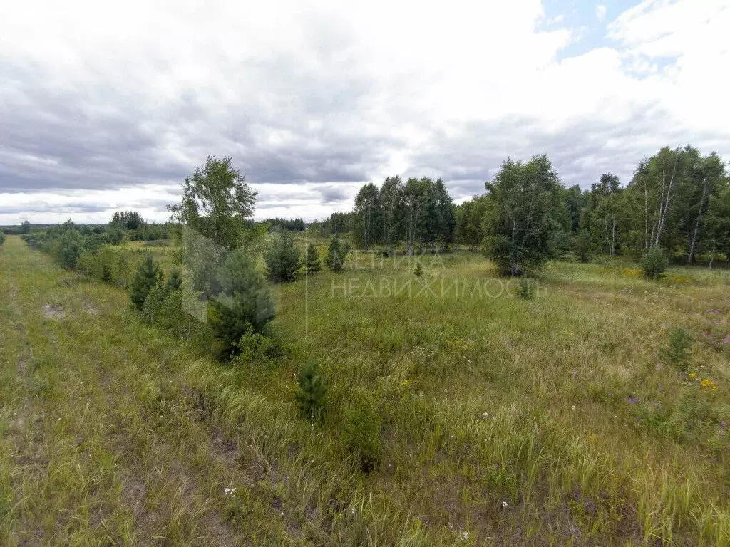 Участок в Тюменская область, Нижнетавдинский муниципальный округ, ... - Фото 2