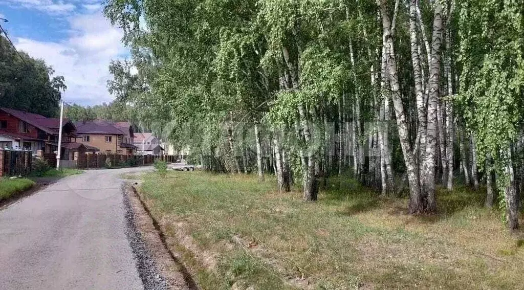 Участок в Новосибирская область, Новосибирский район, Кудряшовский ... - Фото 1