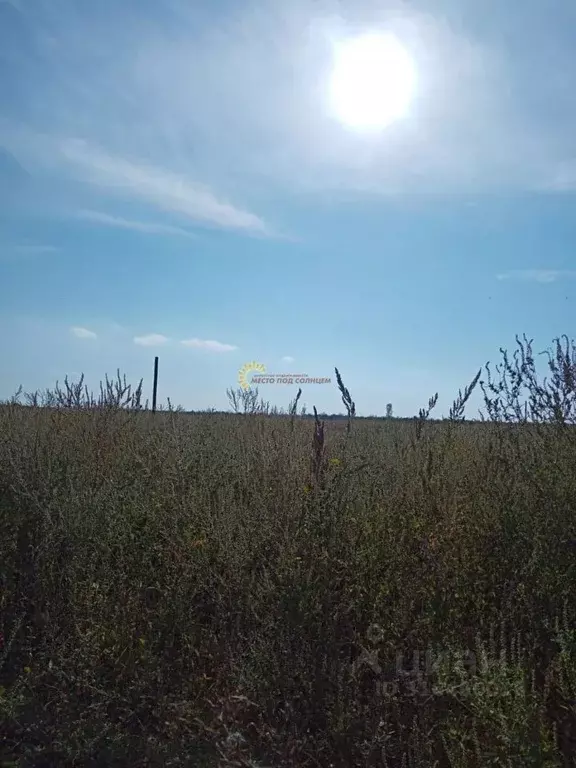 Участок в Краснодарский край, Ейск ул. Герцена (6.25 сот.) - Фото 0