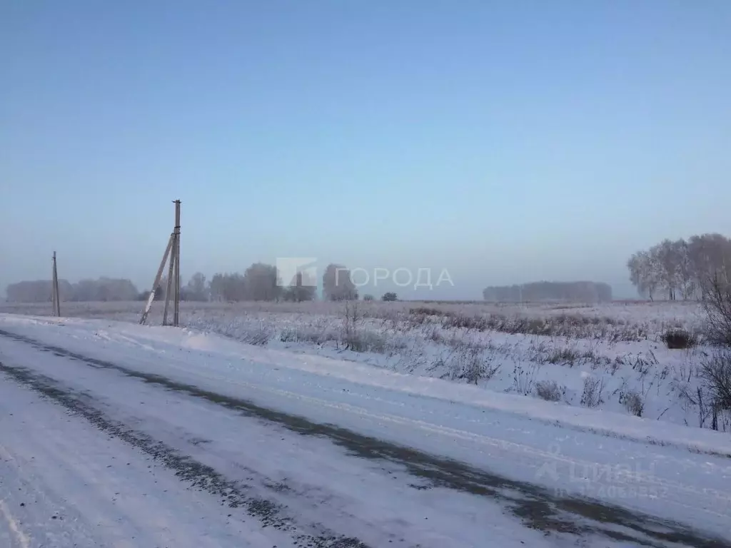 Участок в Новосибирская область, Мошковский район, с. Томилово  (11.0 ... - Фото 1