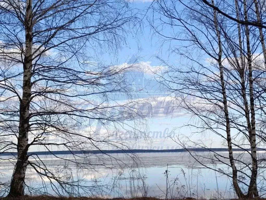 Участок в Нижегородская область, Чкаловск муниципальный округ, д. ... - Фото 2