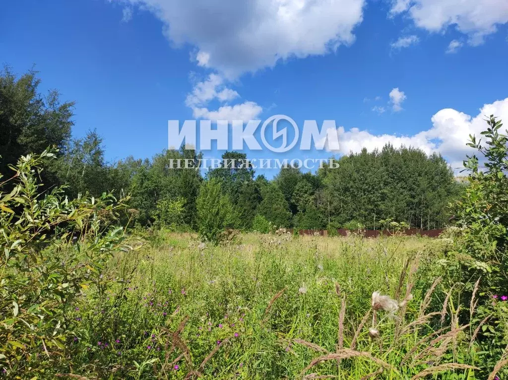 Участок в Московская область, Мытищи городской округ, д. Протасово 10 ... - Фото 0