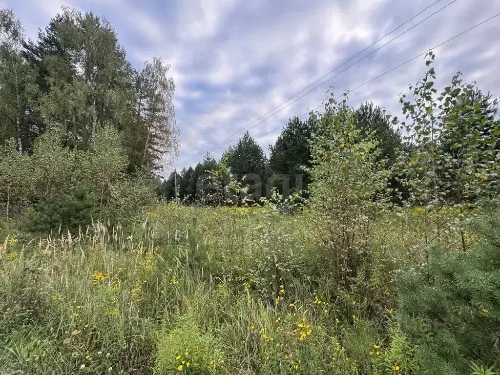 Участок в Калужская область, Тарусский муниципальный округ, с. ... - Фото 2