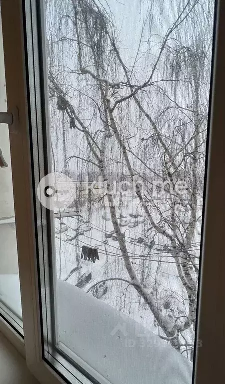 Студия Татарстан, Казань ул. Батыршина, 25 (13.7 м) - Фото 2