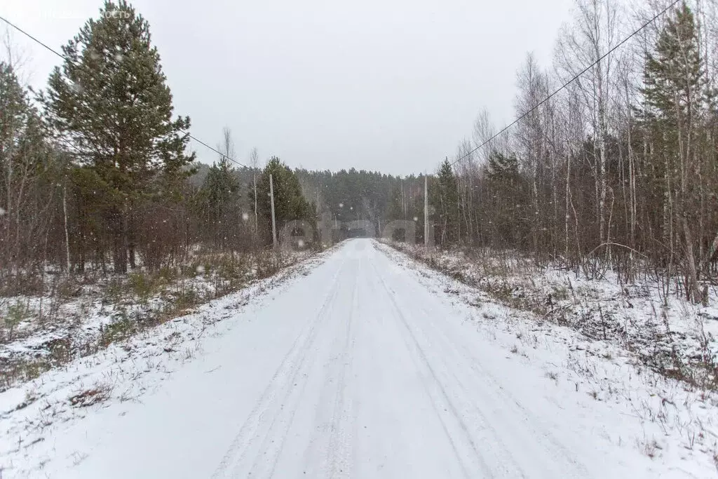 Участок в Карачино, улица Дружбы (24 м) - Фото 2