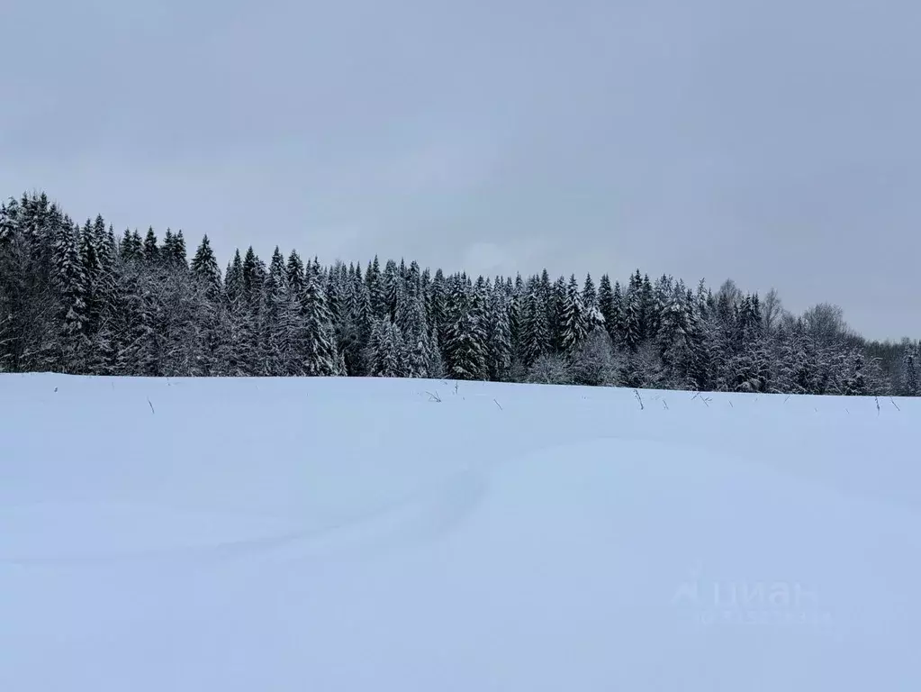 Участок в Кировская область, Киров городской округ, д. Булдаки ул. ... - Фото 2