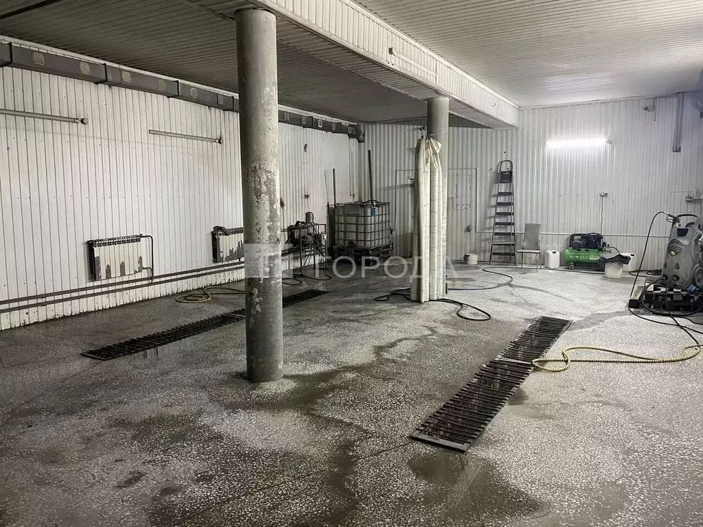 Помещение свободного назначения в Новосибирская область, Новосибирск ... - Фото 1